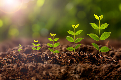 Get benefits that grow with you