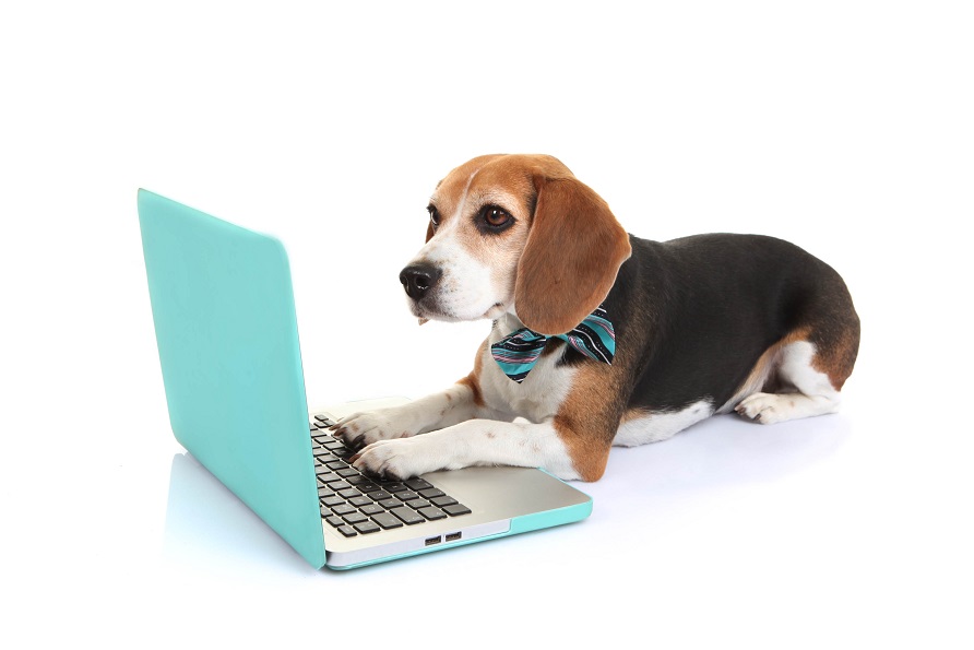 Welcome to our blog!